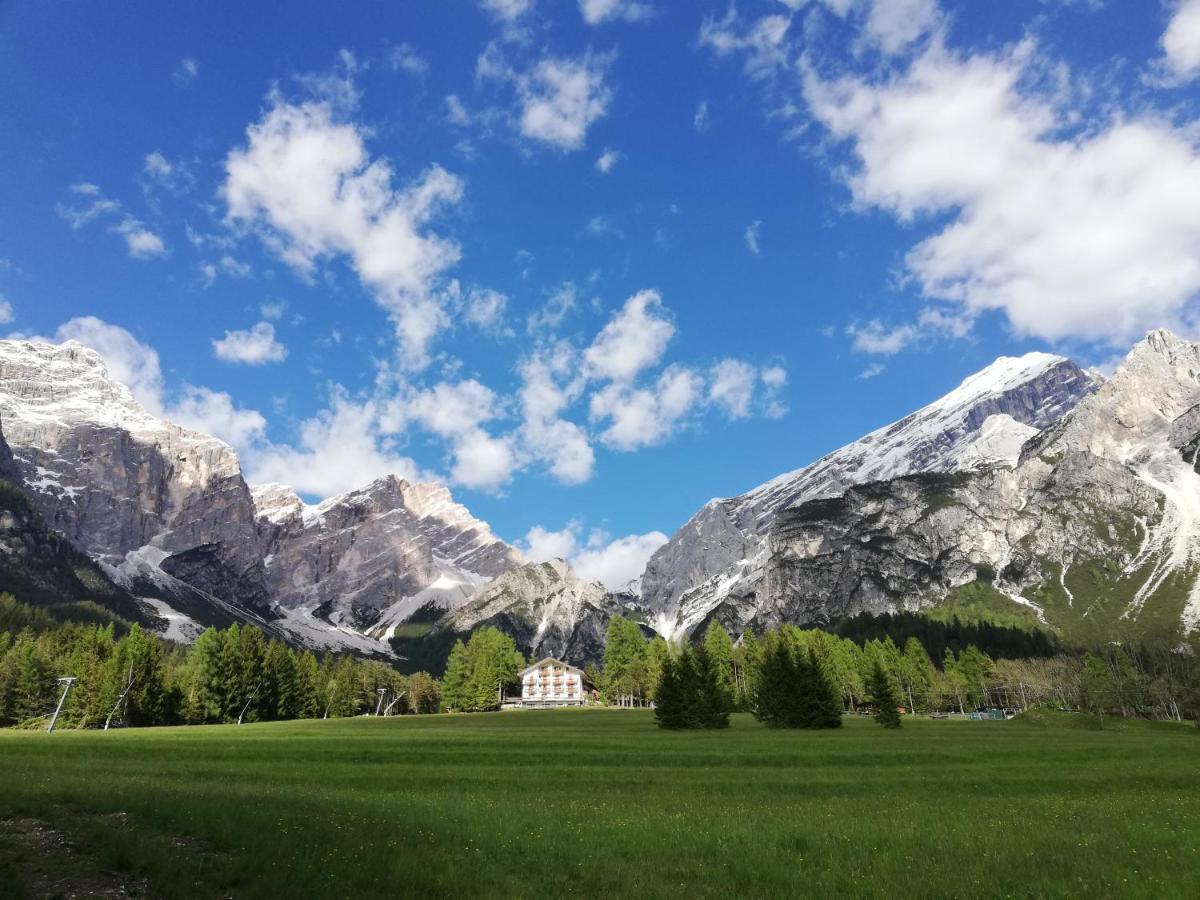 Hotel Il Cardo San Vito di Cadore Exterior photo
